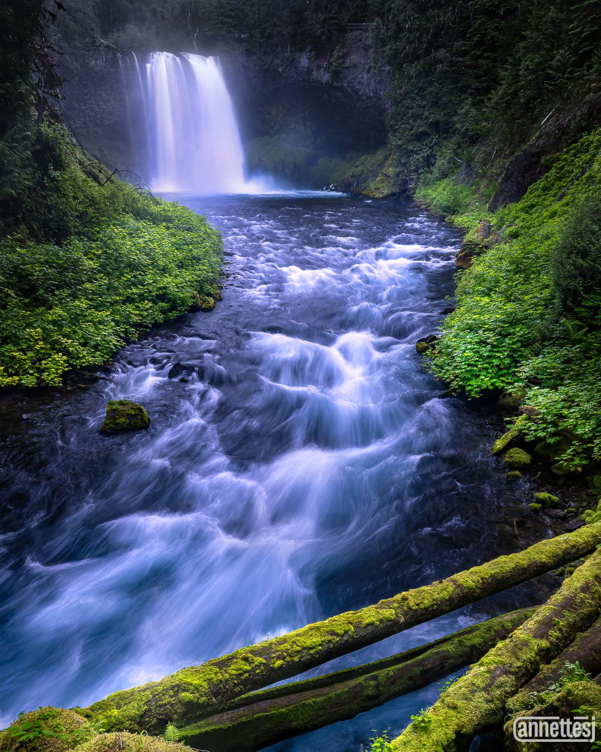 Pacific Northwest Photography of Koosah Falls, Oregon.