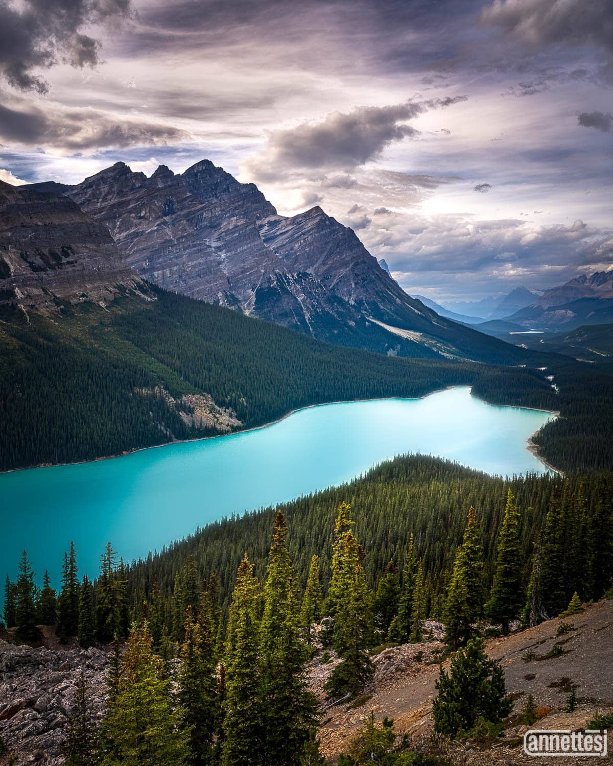 Peyto Lake, Alberta, Canada