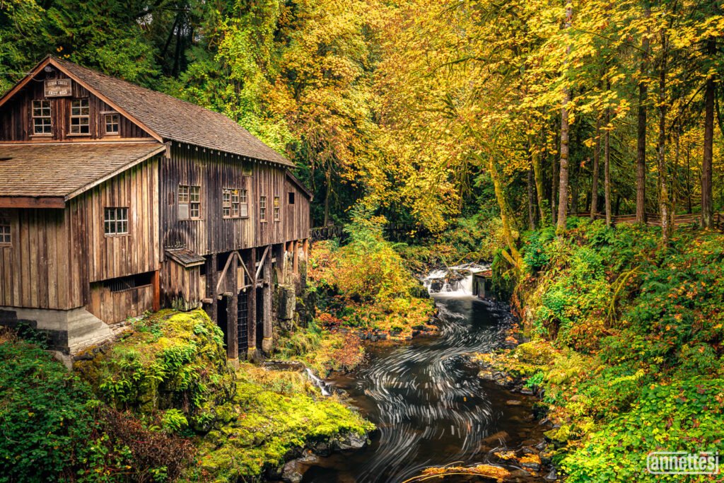 Landscape photographs of fall colors at an historic mill