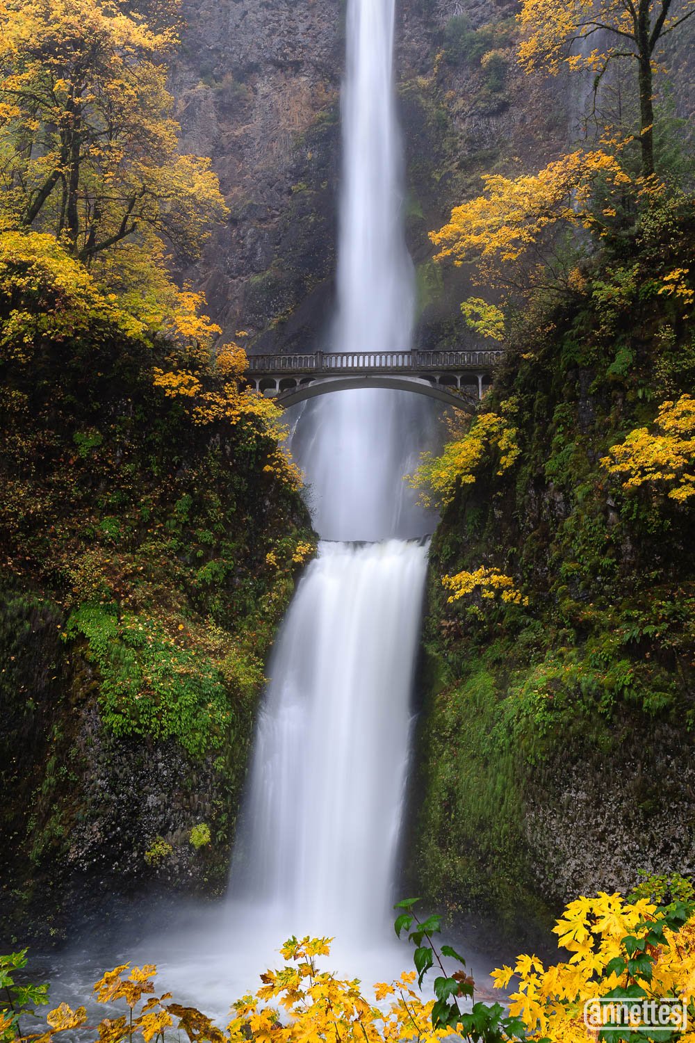 Autumn color at Multnomah Falls, Oregon