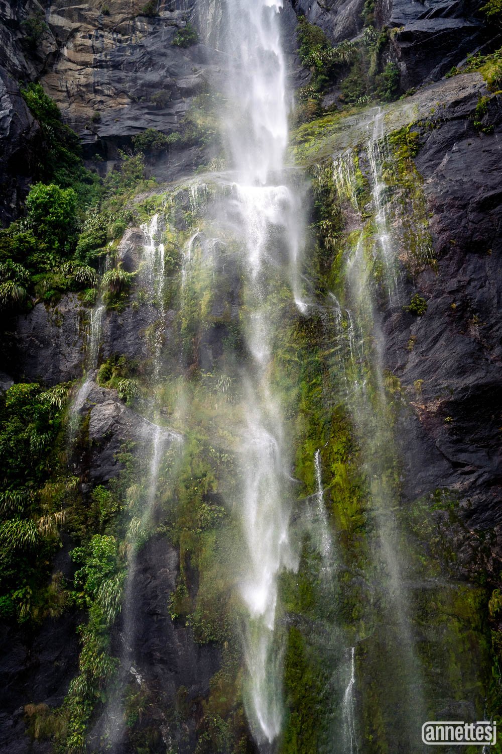 Waterfall photo from Milford Sound, New Zealand