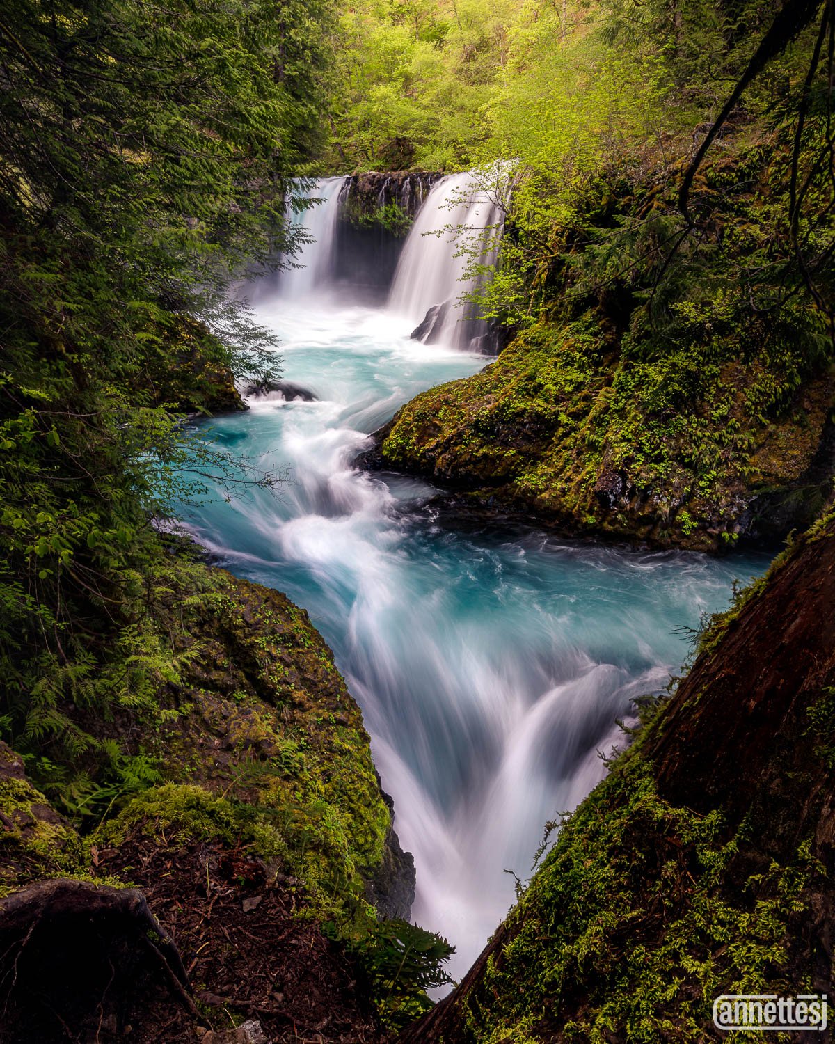 A beautiful Washington waterwall with vibrant teal waters.
