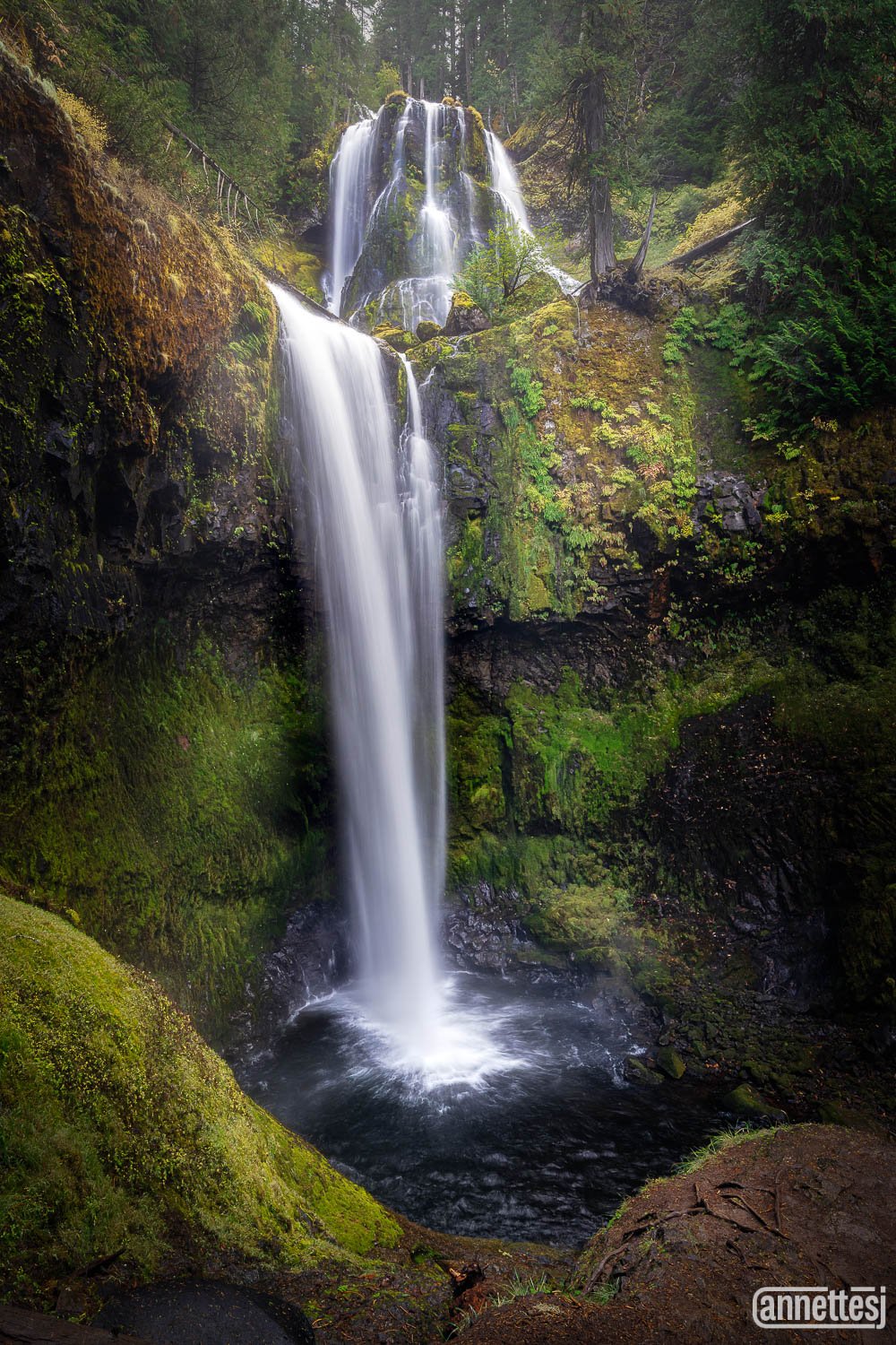 Pacific Northwest Photography of Falls Creek Falls, Washington