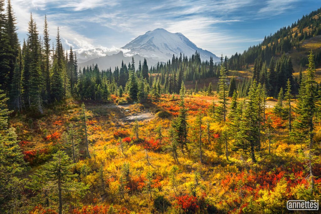Fall colors at Mount Rainier National Park