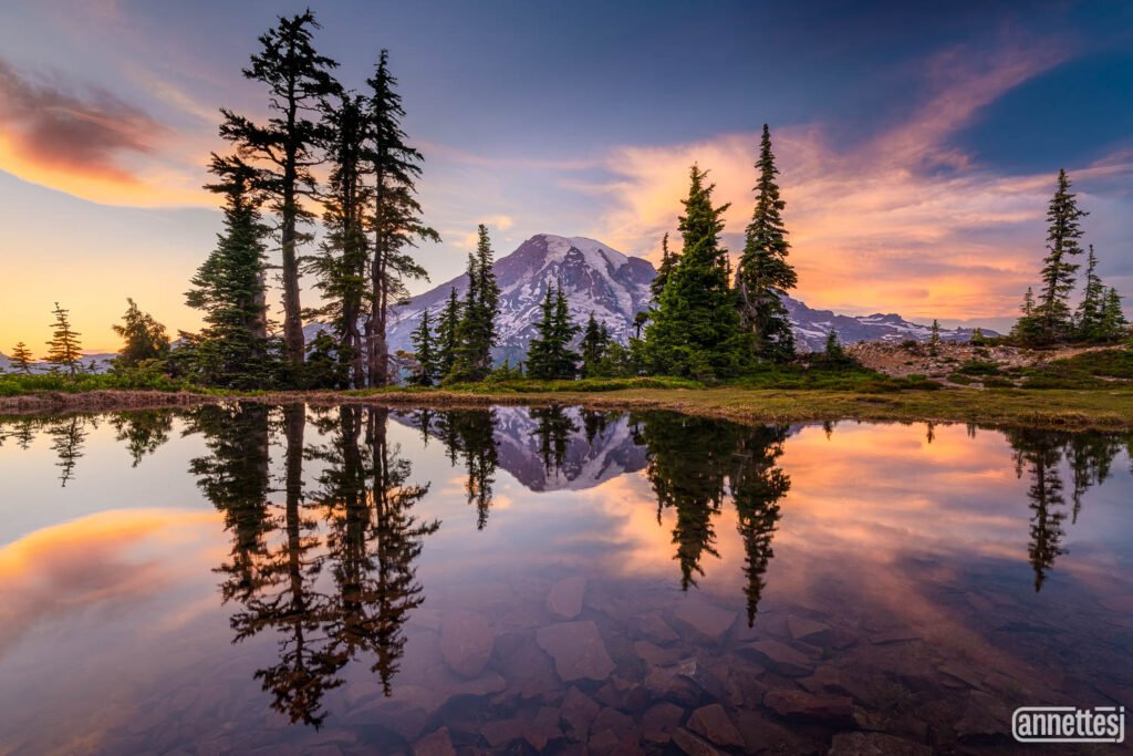 Mount Rainier at Sunset reflected in a tarn