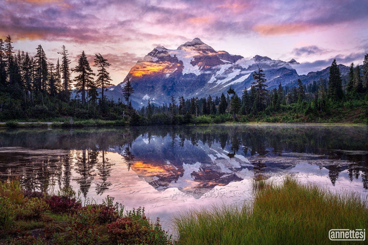 Majestic Mount Rainier at sunrise reflected in a tranquil lake with surrounding pine trees.