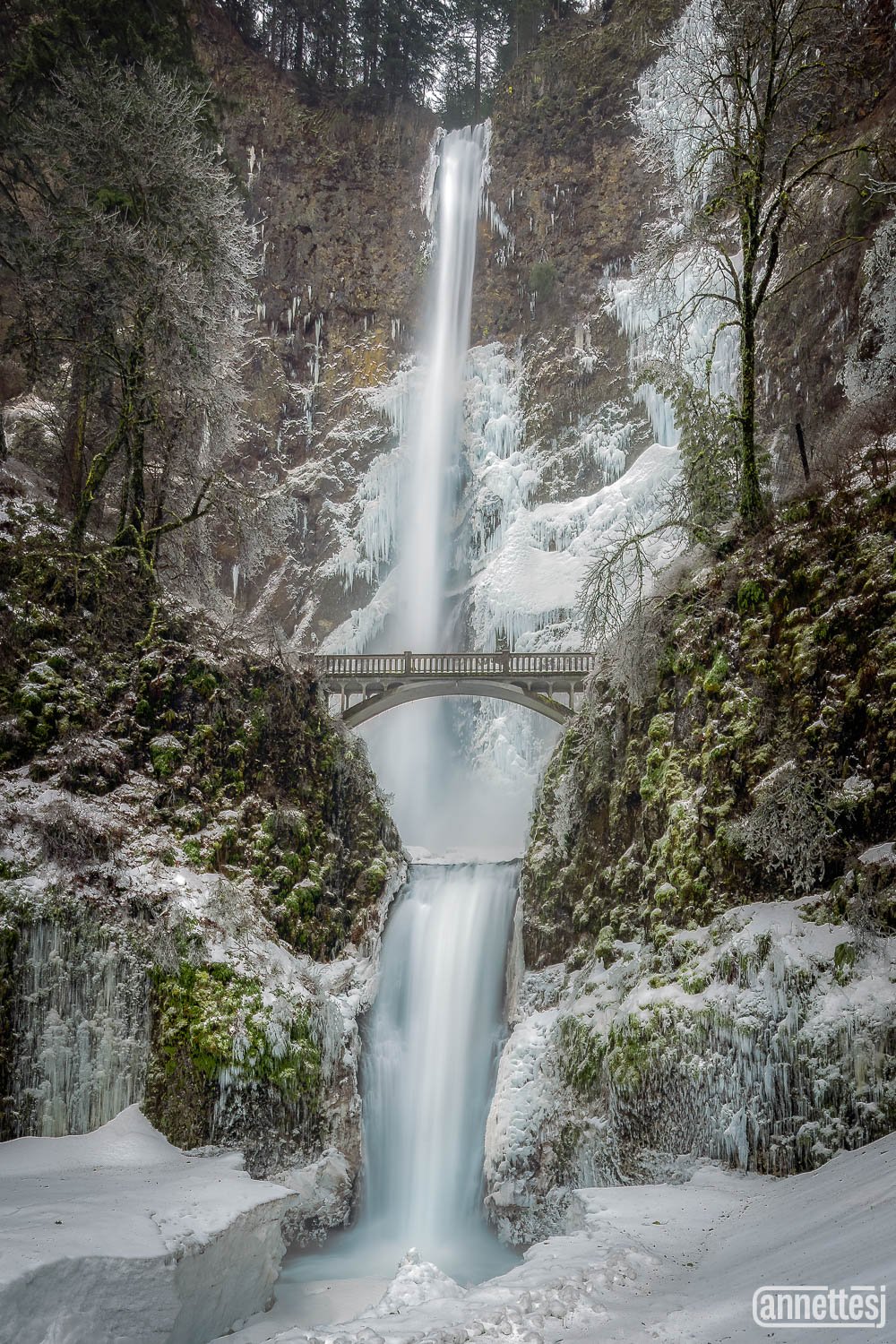 Oregon Landscape Photography of Multnomah Falls