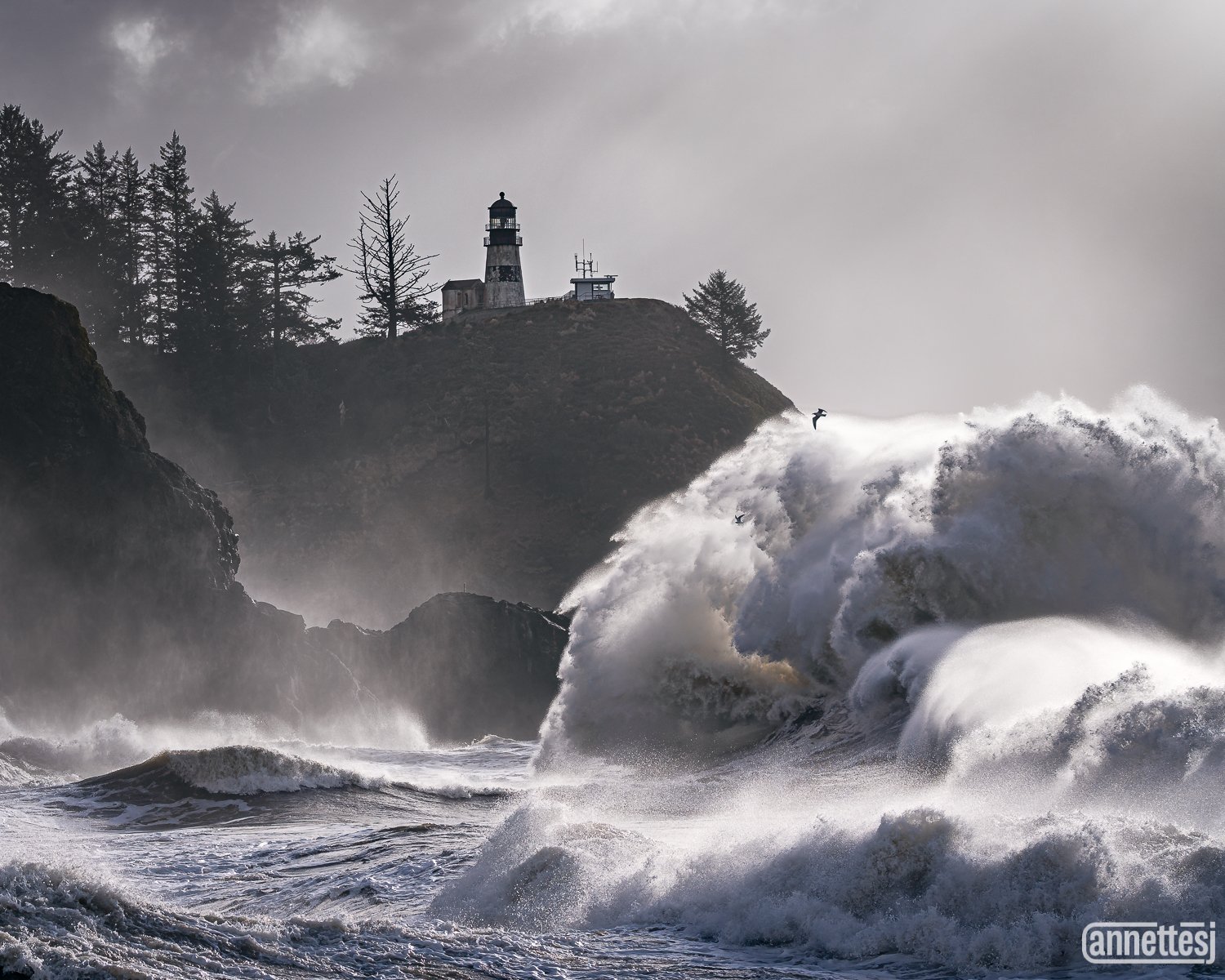 Landscape Photos for Sale of sunset at Fremont Lookout
