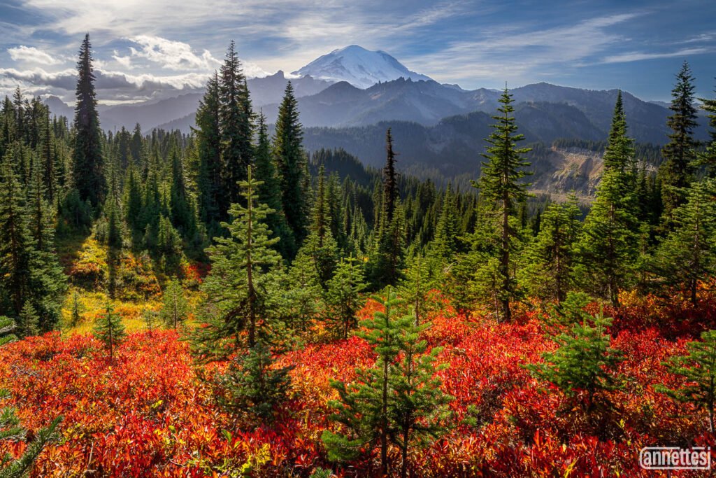 Mount Rainier Photos for sale from Naches Peak Loop