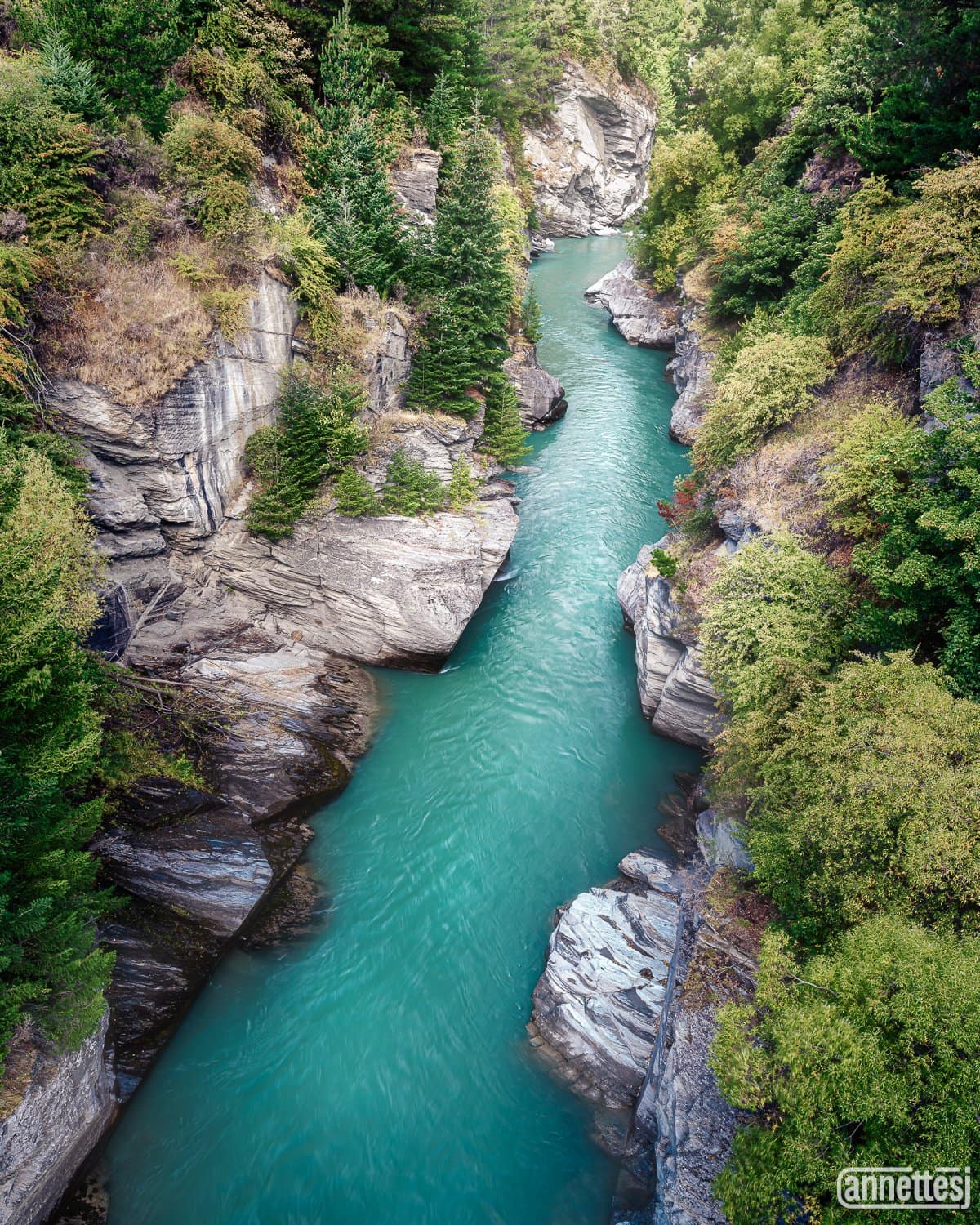 New Zealand landscape photos of Shotover River