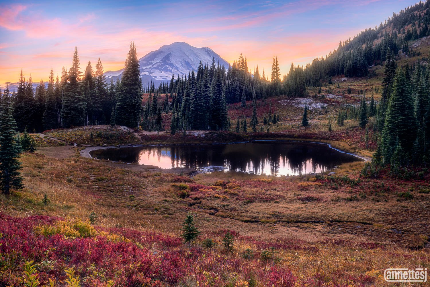 Pacific Northwest photography for sale of Mount Rainier at sunset.