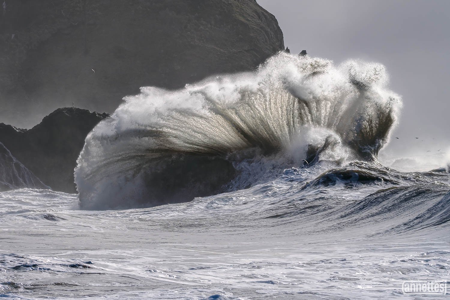 Pacific Northwest photography of a uniquely shaped wave at Cape Disappointment, Washington.