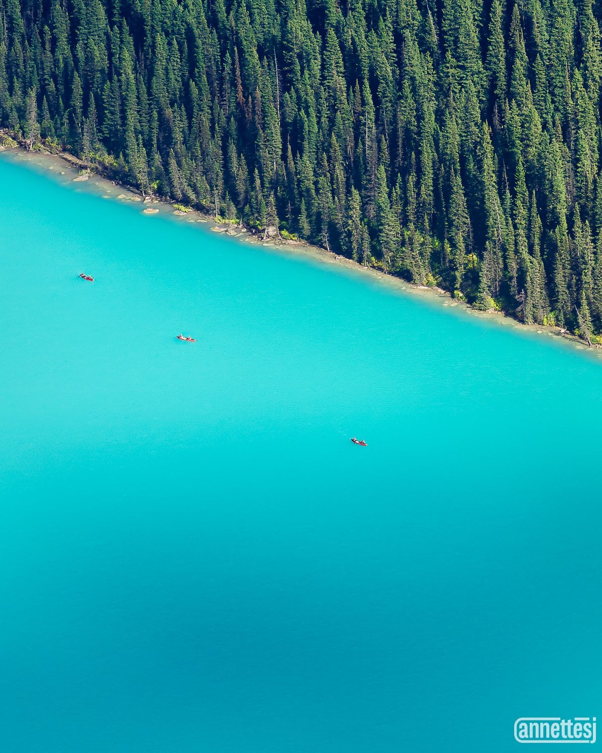 Landscape photography prints of red canoes in Lake Louise, Banff