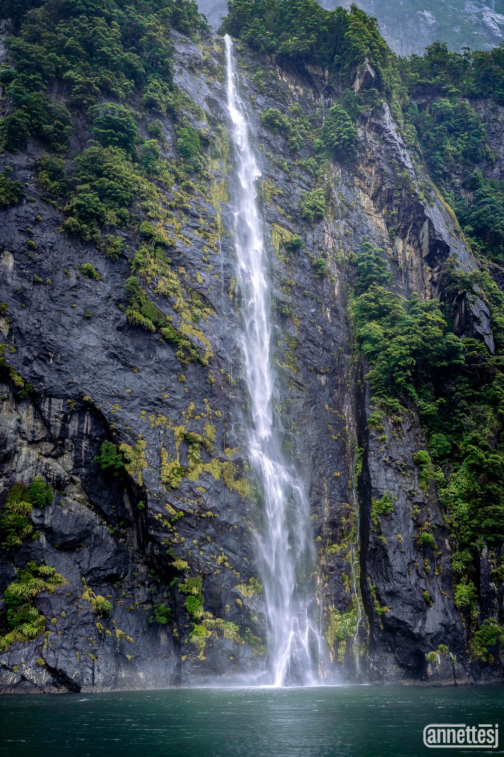 A waterfall in Milford Sound, New Zealand