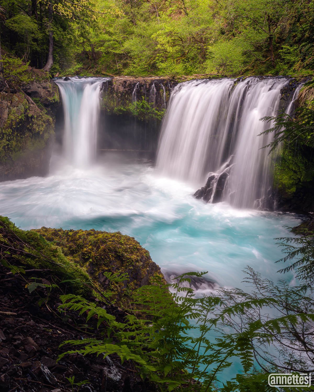 Landscape photos for sale of an aquamarine waterfall in a mossy forest of Washington