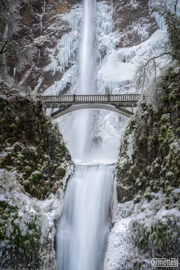 An icy day at Multnomah Falls, Oregon.