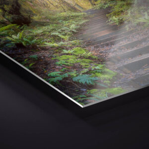 Watching Sunset | Limited Edition Metal Print