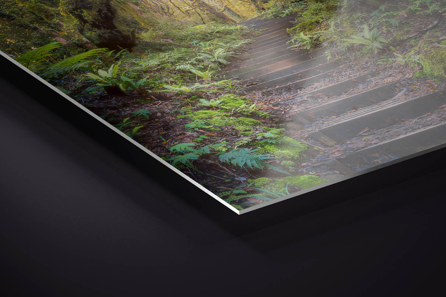 Watching Sunset | Limited Edition Metal Print