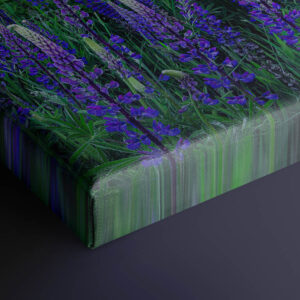 Watching Sunset | Premium Fine Art Canvas Print