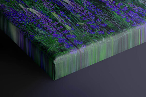 Golden Light on Molokini | Premium Fine Art Canvas Print