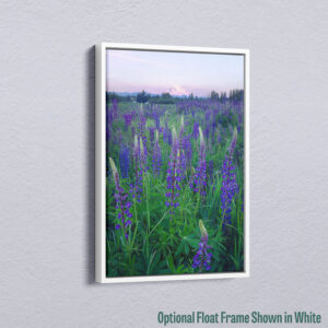 Watching Sunset | Premium Fine Art Canvas Print