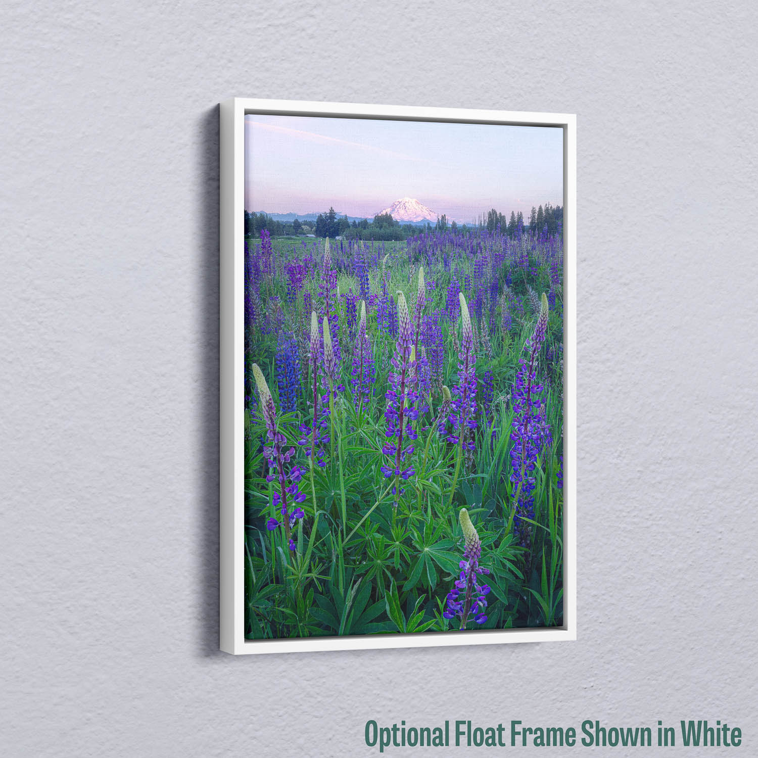 Watching Sunset | Premium Fine Art Canvas Print