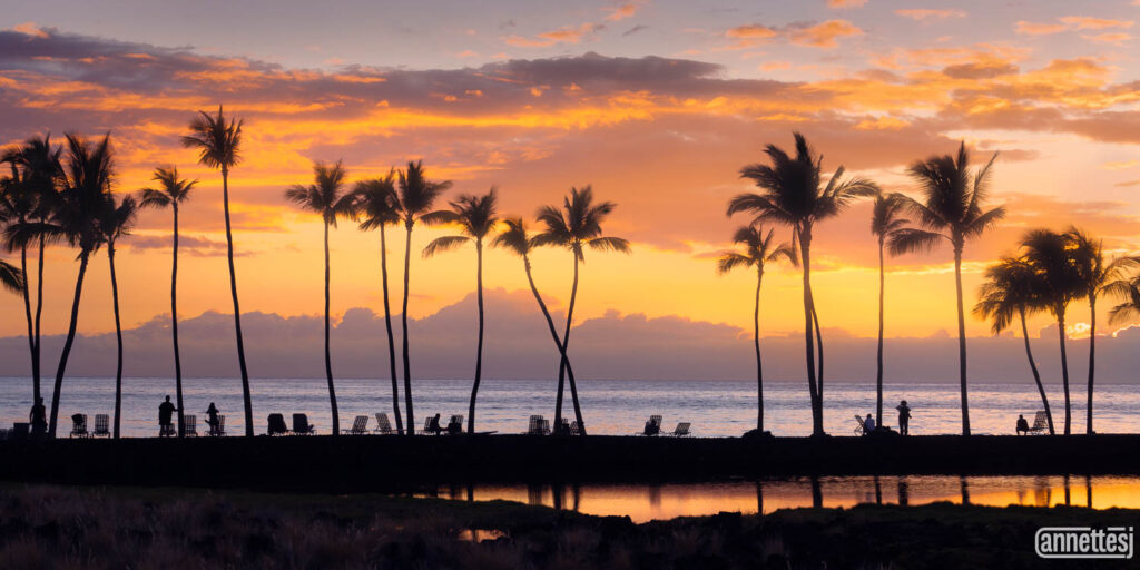 Hawaiian landscape photography of sunset and palm trees