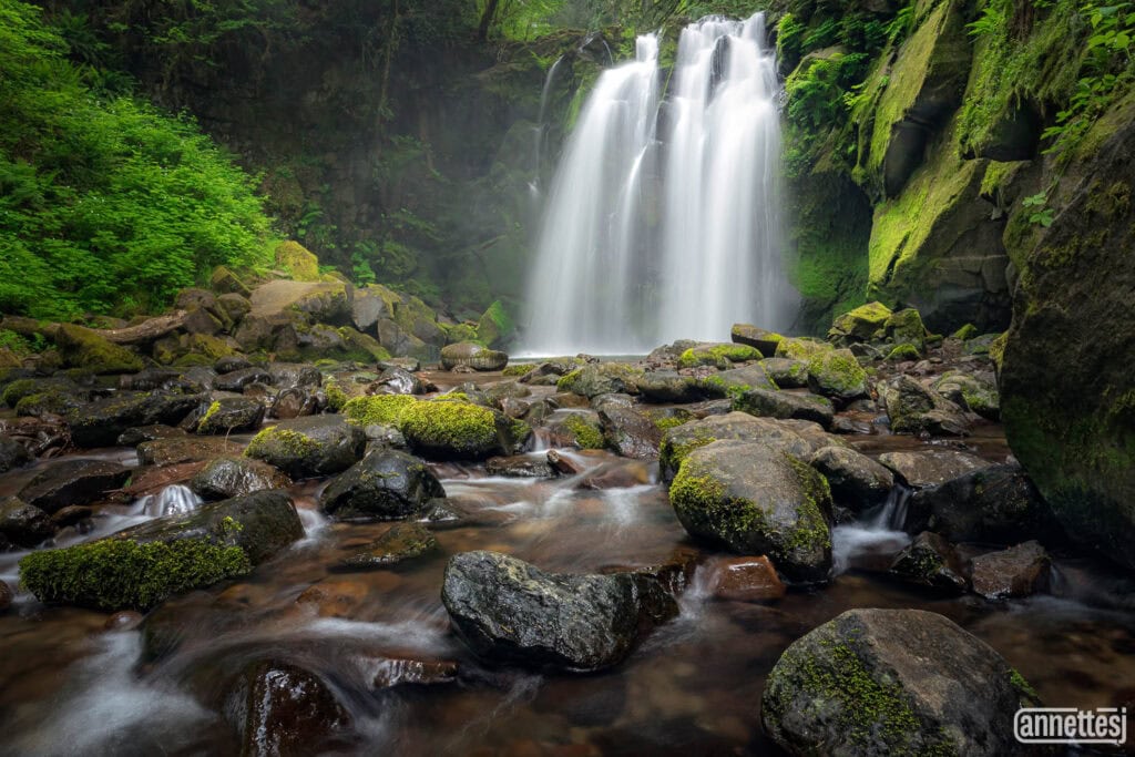 Waterfall photography of Majestic Falls, Oregon