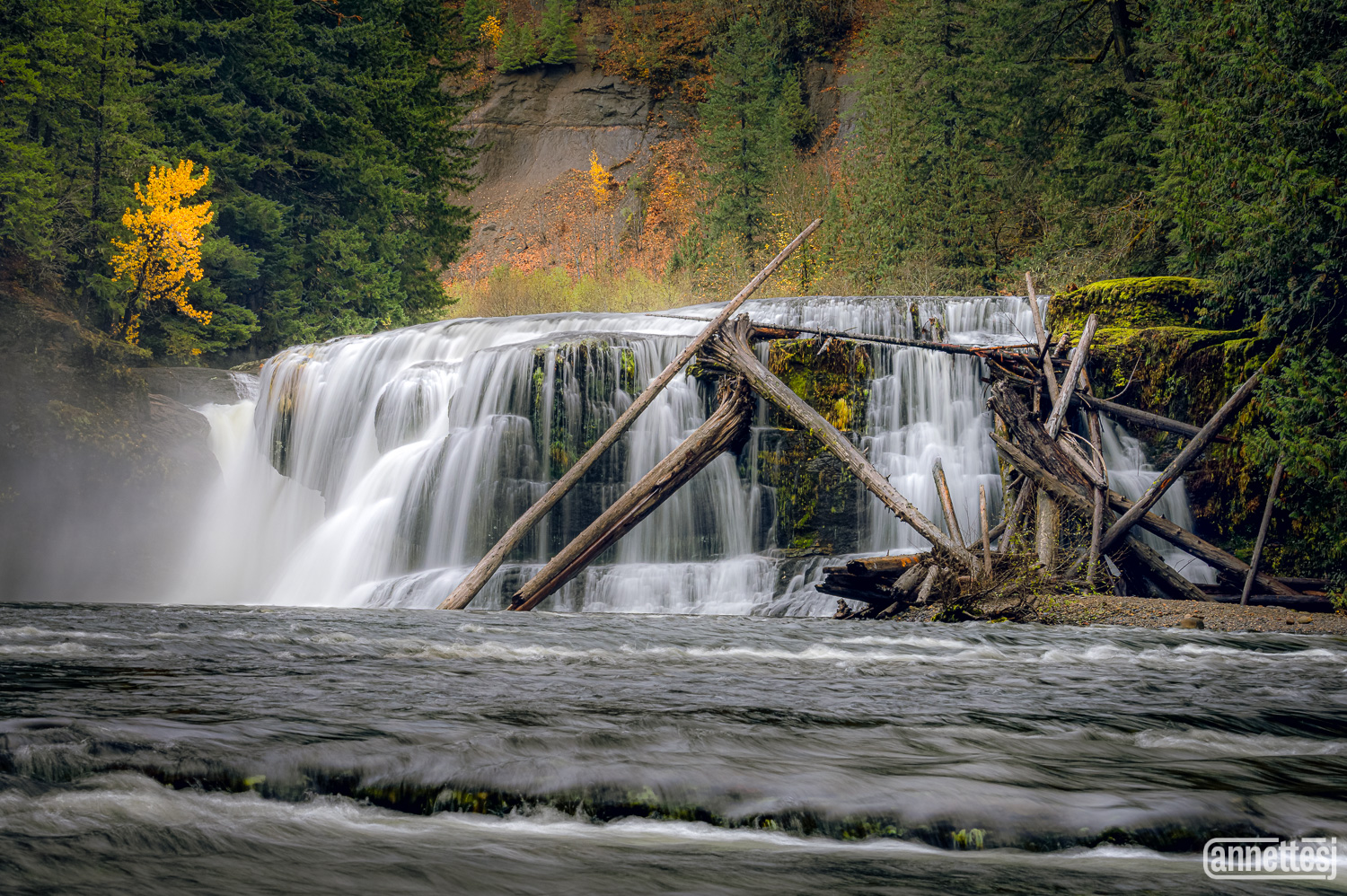Lower Lewis River Falls of Washington State in Autumn