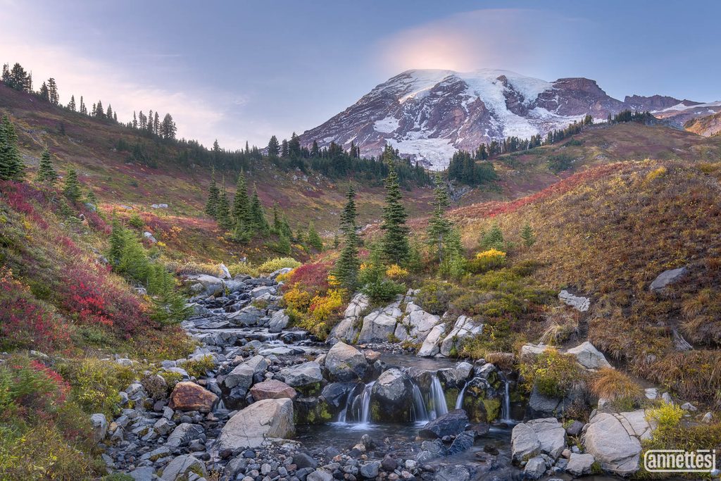 Fall colors at Paradise, Mount Rainier Washington