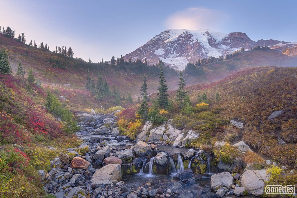 Fall colors at Paradise, Mount Rainier Washington