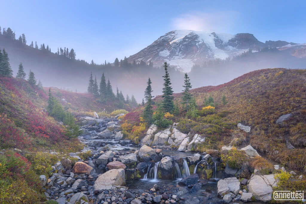 Fall colors at Paradise, Mount Rainier Washington